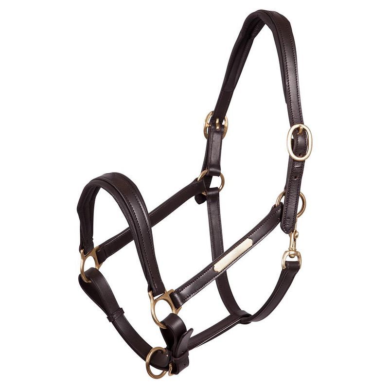 Premiere Leather Halter